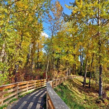 walk way in park