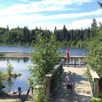 Forests for the World is a municipal park