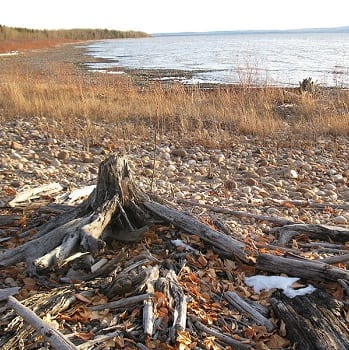 lesser slave lake view