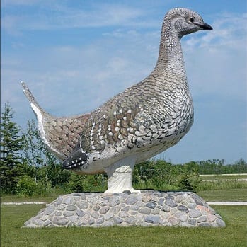 Sharptail Grouse Statue in park