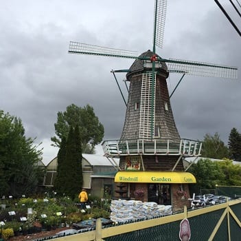 picture of Windmill Garden Centre