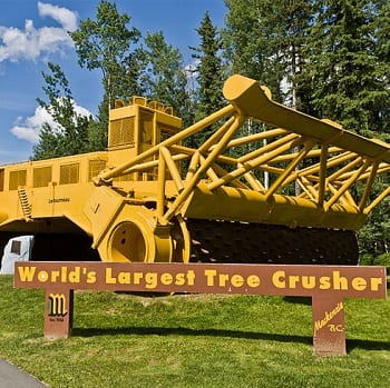 yellow tree cusher