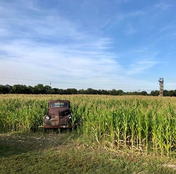 a car in fields