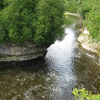 view of elora goerge