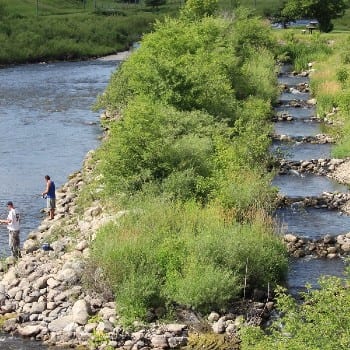 picture of fish ladder