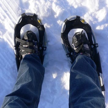 picture of snow shoes