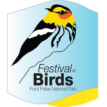 Festival of Birds logo