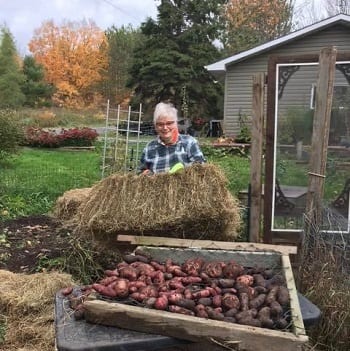 Mrs Wilsons Kitchen in Parry Sound |