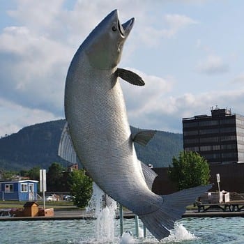 salmon sculpture in pool