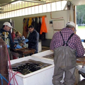 Salmonid Enhancement Centre in Charlo