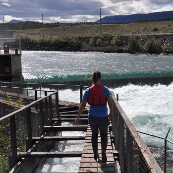 Whitehorse Fishladder & Hatchery - yukon