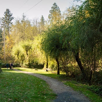 picture of williams park