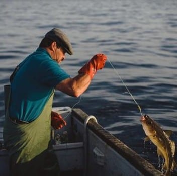 fishing