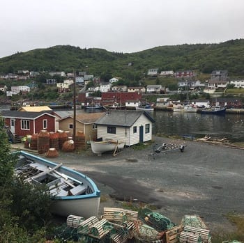 petty harbour street