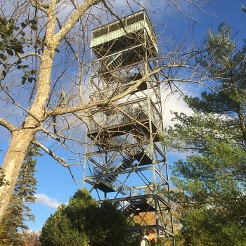 Tower Hill Lookout