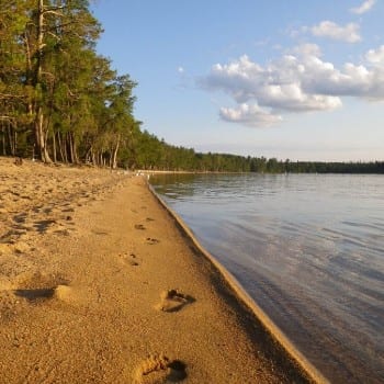 beach area