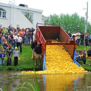 Annual Duck race