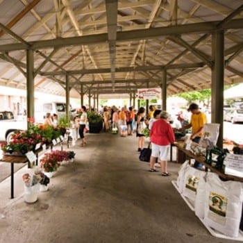 Farmer's market