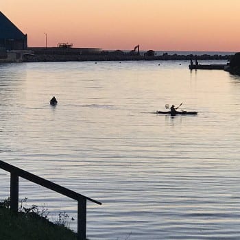 Maitland Valley Marina