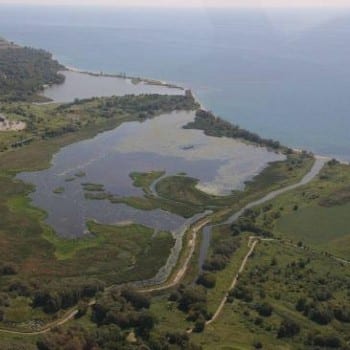 McLaughlin Bay Wildlife Reserve (Oshawa)