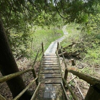 Woodland Trail - Bayfield Ontario