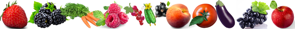 Fruits and vegitables