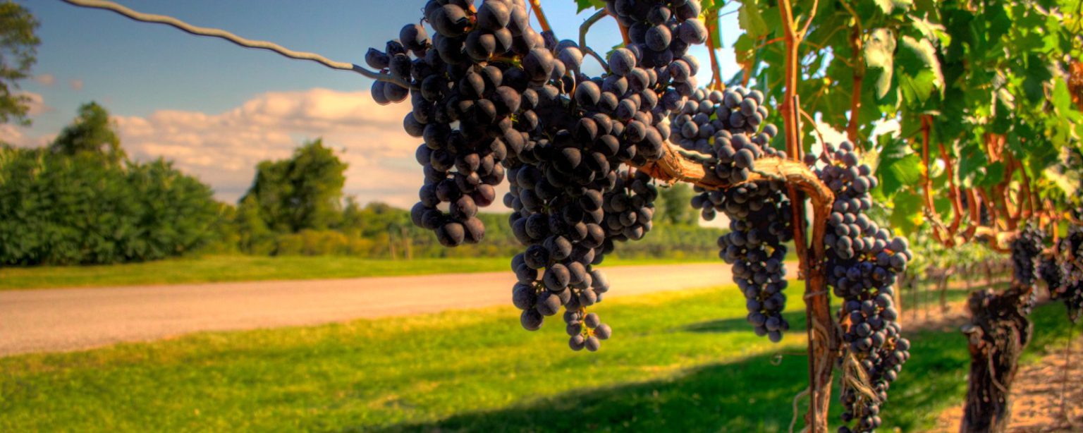 Beamsville Ontario 1000 Towns of Canada