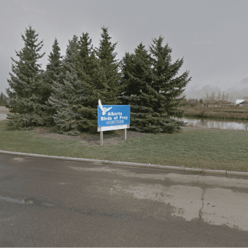 Alberta Birds of Prey Centre, Coaldale, Alberta