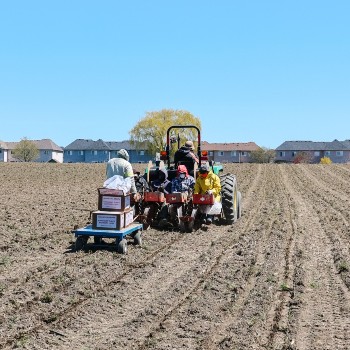 Watson Farms