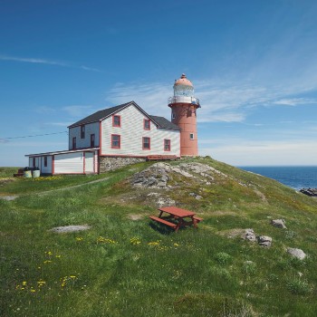 Lighthouse Picnics