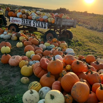 Laura's Farm Stand